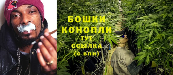 соль ск Козельск