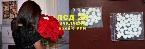 индика Шарыпово