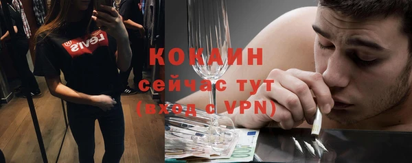 соль ск Козельск