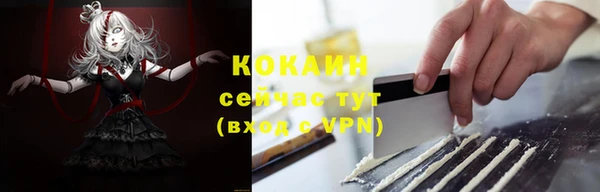 соль ск Козельск