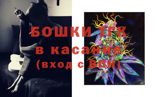 соль ск Козельск