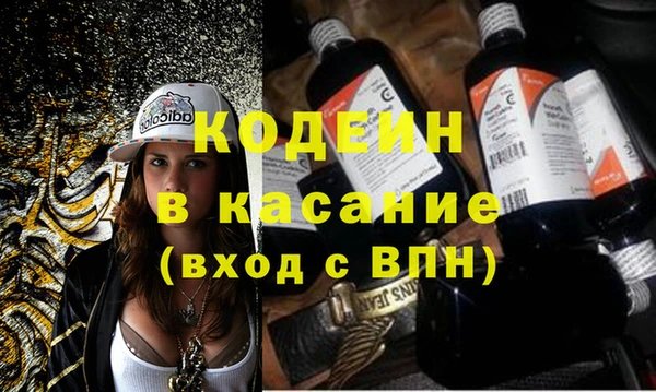 соль ск Козельск