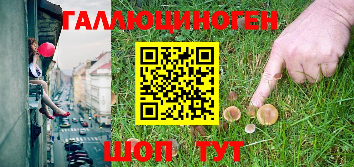 Псилоцибиновые грибы Cubensis  Галлюциногенные грибы GOLDEN TEACHER  Каспийск 