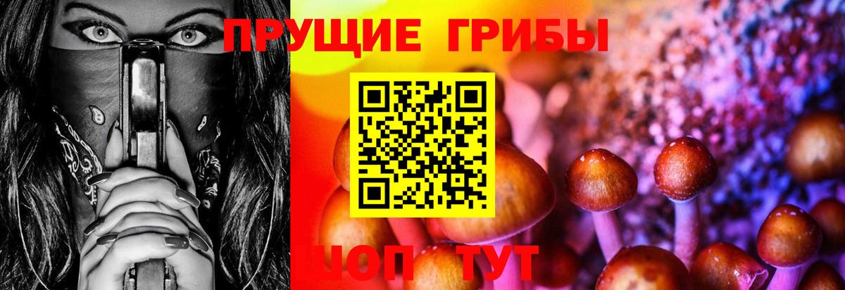 Псилоцибиновые грибы мухоморы Каспийск