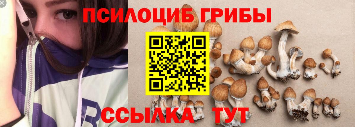 Каспийск  Галлюциногенные грибы MAGIC MUSHROOMS  Вход с VPN  Галлюциногенные грибы прущие грибы 