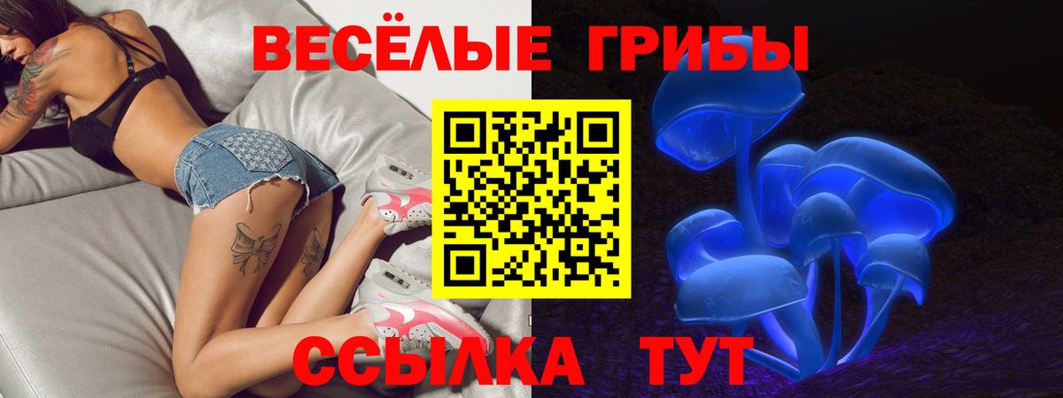 Галлюциногенные грибы Cubensis Каспийск